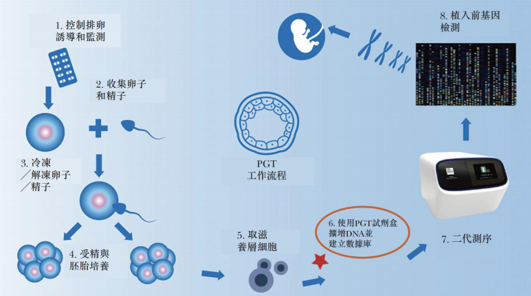 三代PGT核心流程 三代PGT核心流程